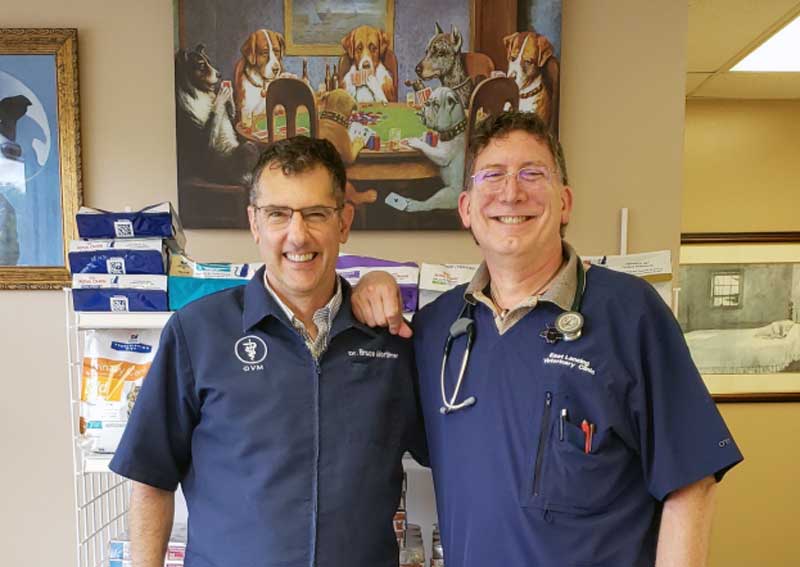 Carousel Slide 5: Meet our veterinary team